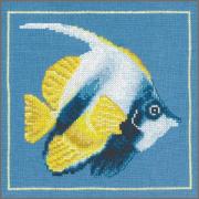 Yellow angle fish