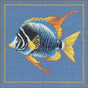 Fire zebra fish