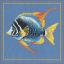 Fire zebra fish