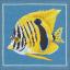 Yellow zebra fish