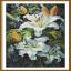 Royal lilies