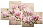 Saucer Magnolia