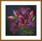 Night lilies