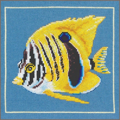 Yellow zebra fish