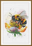 Honey lady