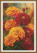 Marigold