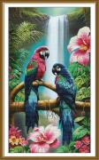 Colorful parrots