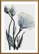 White flowers of love
