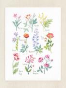 Botanical sampler