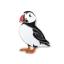 Puffin Needle Minder