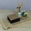 Stand for bobbins and Needle organizer