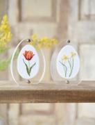 Egg-shaped acrylic frame