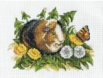 Guinea Pig