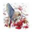 Waxwing