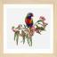 Parrot in Bloom - Aida