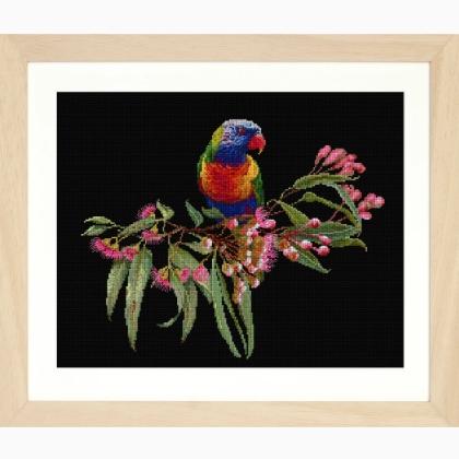 Parrot in Bloom - Black - Aida