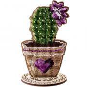 Columnar cactus - Heart