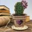 Columnar cactus - Heart
