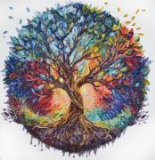 The center of the Universe