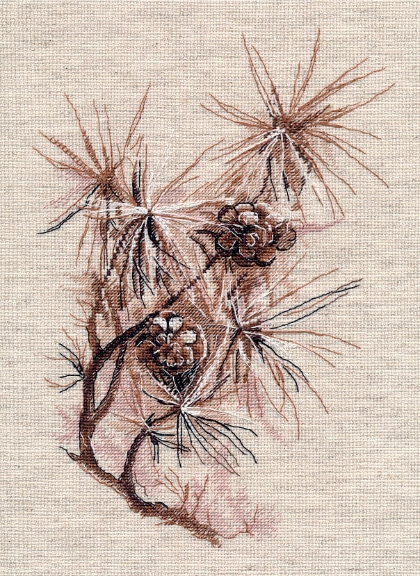 Pine branch (Inna Petrashkevich)