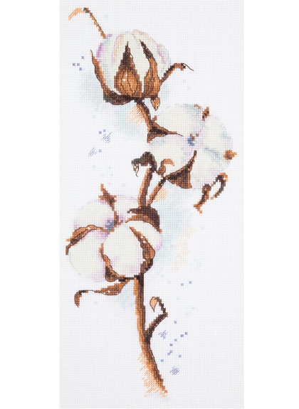 Cotton