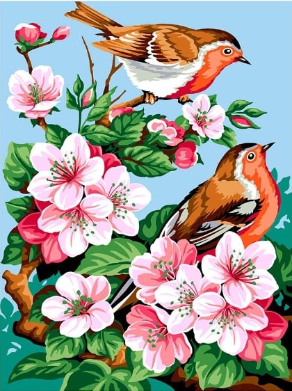 Cherry blossoms