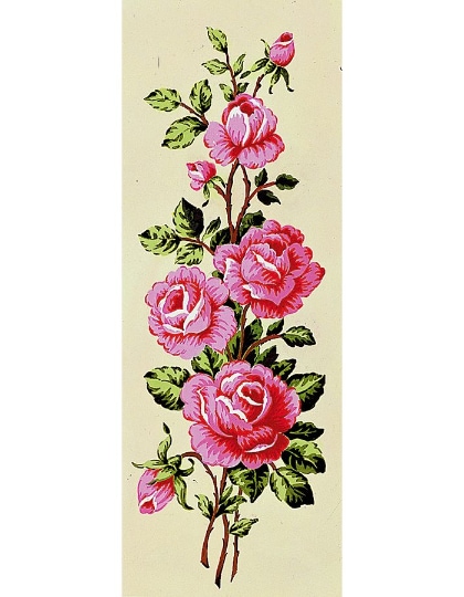 Pink roses