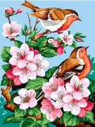 Cherry blossoms