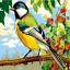 The tit