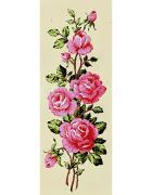 Pink roses