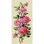 Pink roses