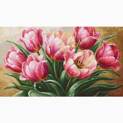 Graceful Tulips