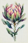Protea