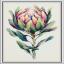 Protea
