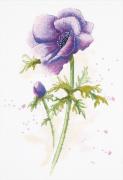 Anemone