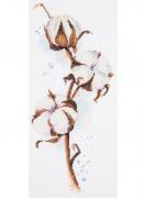 Cotton