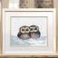 Owl's gatherings (Evgenia Gorbacheva)