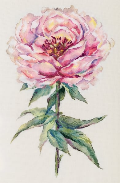 Peony