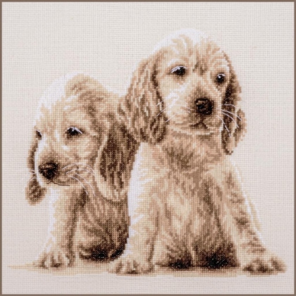 2 Puppies