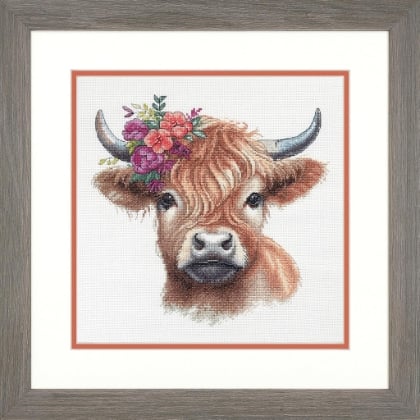 Higland Cow