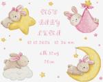 Baby Girl record