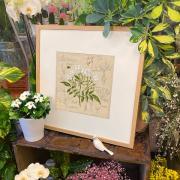 Étude au jasmin - Linen