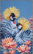 Black crowned cranes