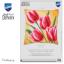 Cushion - Tulips