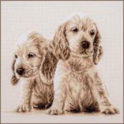 2 Puppies