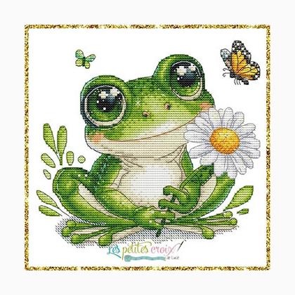 Animal Series Frog