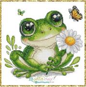Animal Series Frog