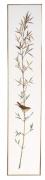 Sedge warbler band I