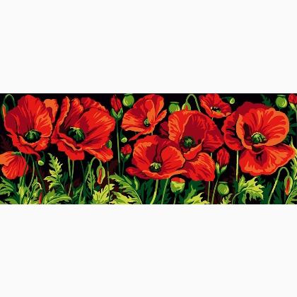 Poppies