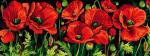 Poppies